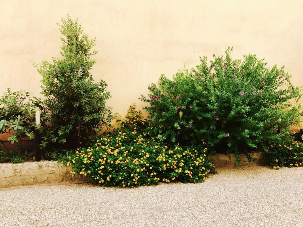 Appartamenti Sant' Andrea Trapani Buitenkant foto